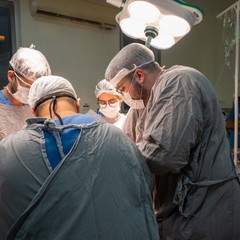 miniatura da galeria