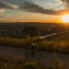 miniatura da galeria