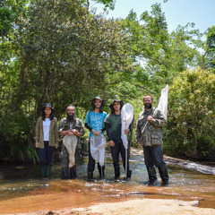 miniatura da galeria