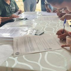 miniatura da galeria