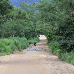 miniatura da galeria