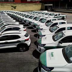 miniatura da galeria