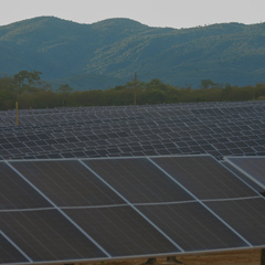 miniatura da galeria