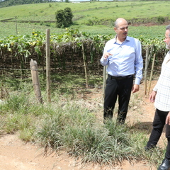 miniatura da galeria