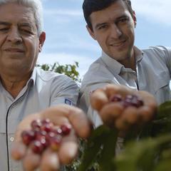 miniatura da galeria