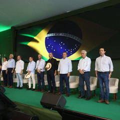 miniatura da galeria