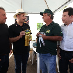 miniatura da galeria