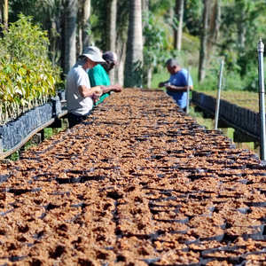 Iepha anuncia retomada de obras no circuito cultural e articulacao com outras regioes do estado 1.jpg.750x450 q85 crop smart upscale