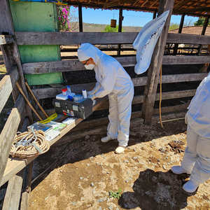 Iepha anuncia retomada de obras no circuito cultural e articulacao com outras regioes do estado 1.jpg.750x450 q85 crop smart upscale