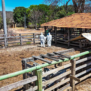 Iepha anuncia retomada de obras no circuito cultural e articulacao com outras regioes do estado 1.jpg.750x450 q85 crop smart upscale