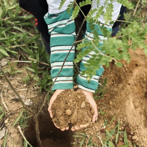 Iepha anuncia retomada de obras no circuito cultural e articulacao com outras regioes do estado 1.jpg.750x450 q85 crop smart upscale