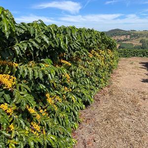 Iepha anuncia retomada de obras no circuito cultural e articulacao com outras regioes do estado 1.jpg.750x450 q85 crop smart upscale