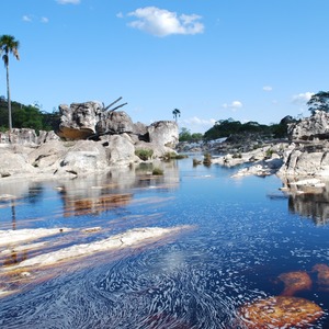 Iepha anuncia retomada de obras no circuito cultural e articulacao com outras regioes do estado 1.jpg.750x450 q85 crop smart upscale