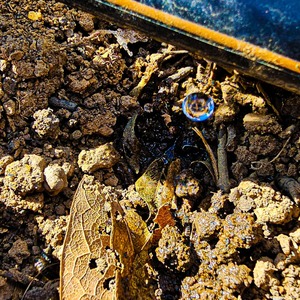 Iepha anuncia retomada de obras no circuito cultural e articulacao com outras regioes do estado 1.jpg.750x450 q85 crop smart upscale