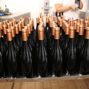 Iepha anuncia retomada de obras no circuito cultural e articulacao com outras regioes do estado 1.jpg.750x450 q85 crop smart upscale