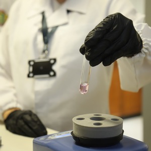 Iepha anuncia retomada de obras no circuito cultural e articulacao com outras regioes do estado 1.jpg.750x450 q85 crop smart upscale