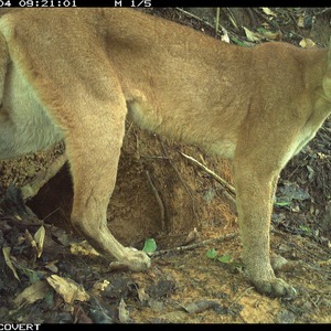 Iepha anuncia retomada de obras no circuito cultural e articulacao com outras regioes do estado 1.jpg.750x450 q85 crop smart upscale