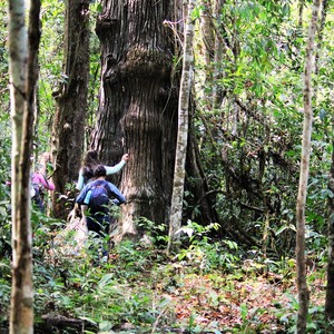 Iepha anuncia retomada de obras no circuito cultural e articulacao com outras regioes do estado 1.jpg.750x450 q85 crop smart upscale