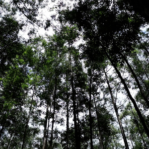 Iepha anuncia retomada de obras no circuito cultural e articulacao com outras regioes do estado 1.jpg.750x450 q85 crop smart upscale