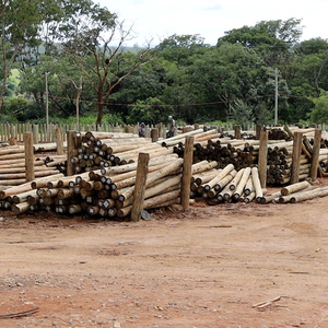 Iepha anuncia retomada de obras no circuito cultural e articulacao com outras regioes do estado 1.jpg.750x450 q85 crop smart upscale