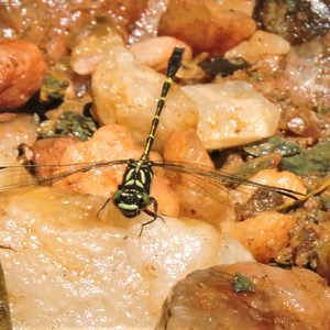 Iepha anuncia retomada de obras no circuito cultural e articulacao com outras regioes do estado 1.jpg.750x450 q85 crop smart upscale