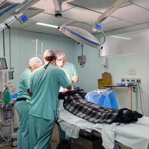 Iepha anuncia retomada de obras no circuito cultural e articulacao com outras regioes do estado 1.jpg.750x450 q85 crop smart upscale