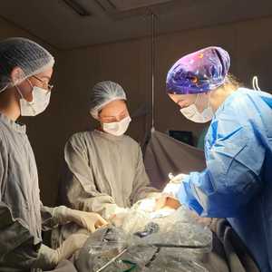 Iepha anuncia retomada de obras no circuito cultural e articulacao com outras regioes do estado 1.jpg.750x450 q85 crop smart upscale