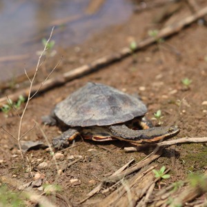 Iepha anuncia retomada de obras no circuito cultural e articulacao com outras regioes do estado 1.jpg.750x450 q85 crop smart upscale