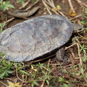 Iepha anuncia retomada de obras no circuito cultural e articulacao com outras regioes do estado 1.jpg.750x450 q85 crop smart upscale