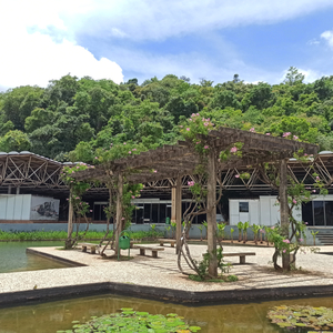 Iepha anuncia retomada de obras no circuito cultural e articulacao com outras regioes do estado 1.jpg.750x450 q85 crop smart upscale