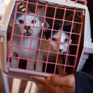 Iepha anuncia retomada de obras no circuito cultural e articulacao com outras regioes do estado 1.jpg.750x450 q85 crop smart upscale