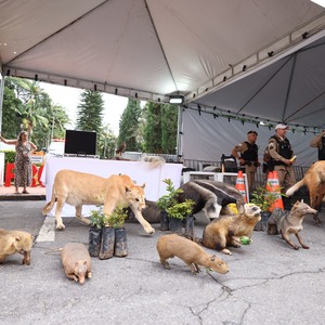 Iepha anuncia retomada de obras no circuito cultural e articulacao com outras regioes do estado 1.jpg.750x450 q85 crop smart upscale