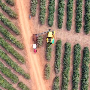 Iepha anuncia retomada de obras no circuito cultural e articulacao com outras regioes do estado 1.jpg.750x450 q85 crop smart upscale