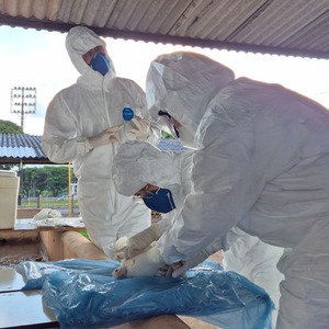 Iepha anuncia retomada de obras no circuito cultural e articulacao com outras regioes do estado 1.jpg.750x450 q85 crop smart upscale