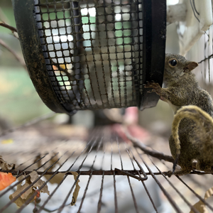 Iepha anuncia retomada de obras no circuito cultural e articulacao com outras regioes do estado 1.jpg.750x450 q85 crop smart upscale