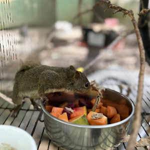 Iepha anuncia retomada de obras no circuito cultural e articulacao com outras regioes do estado 1.jpg.750x450 q85 crop smart upscale