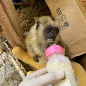 Iepha anuncia retomada de obras no circuito cultural e articulacao com outras regioes do estado 1.jpg.750x450 q85 crop smart upscale