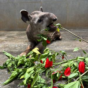 Iepha anuncia retomada de obras no circuito cultural e articulacao com outras regioes do estado 1.jpg.750x450 q85 crop smart upscale