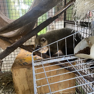 Iepha anuncia retomada de obras no circuito cultural e articulacao com outras regioes do estado 1.jpg.750x450 q85 crop smart upscale