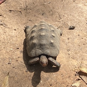 Iepha anuncia retomada de obras no circuito cultural e articulacao com outras regioes do estado 1.jpg.750x450 q85 crop smart upscale