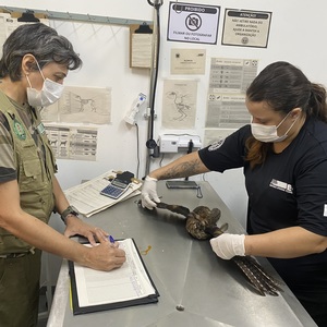 Iepha anuncia retomada de obras no circuito cultural e articulacao com outras regioes do estado 1.jpg.750x450 q85 crop smart upscale