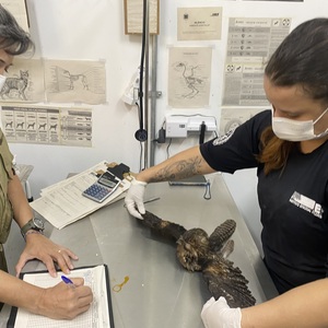 Iepha anuncia retomada de obras no circuito cultural e articulacao com outras regioes do estado 1.jpg.750x450 q85 crop smart upscale