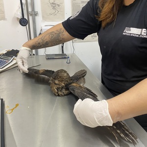 Iepha anuncia retomada de obras no circuito cultural e articulacao com outras regioes do estado 1.jpg.750x450 q85 crop smart upscale