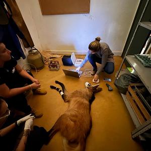 Iepha anuncia retomada de obras no circuito cultural e articulacao com outras regioes do estado 1.jpg.750x450 q85 crop smart upscale