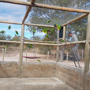 Iepha anuncia retomada de obras no circuito cultural e articulacao com outras regioes do estado 1.jpg.750x450 q85 crop smart upscale