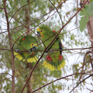 Iepha anuncia retomada de obras no circuito cultural e articulacao com outras regioes do estado 1.jpg.750x450 q85 crop smart upscale
