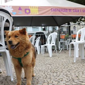 Iepha anuncia retomada de obras no circuito cultural e articulacao com outras regioes do estado 1.jpg.750x450 q85 crop smart upscale