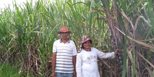 Unveil 8a21a6f614db065bb1ca2c21a5c803aede783f93e5277febbd47f37d9dbae4ca