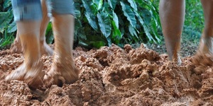 Unveil 8a21a6f614db065bb1ca2c21a5c803aede783f93e5277febbd47f37d9dbae4ca