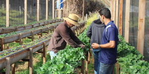 Unveil 8a21a6f614db065bb1ca2c21a5c803aede783f93e5277febbd47f37d9dbae4ca